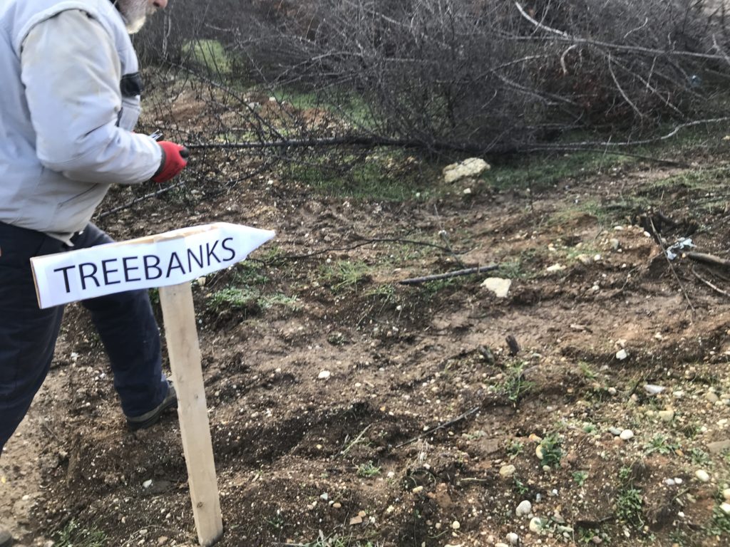 Treebanks sign to planting location