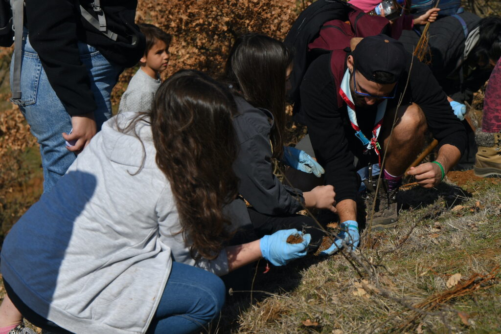 The scouts plant trees